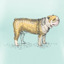 Vintage bulldog