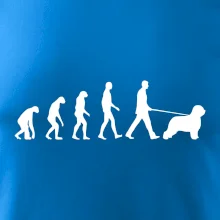 Evolúcia pes Briard