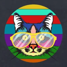 Mačka pri farebnom západe