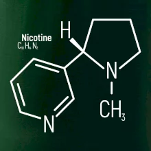 Molekulárna štruktúra Nikotín