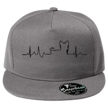 Yorkshirský teriér EKG