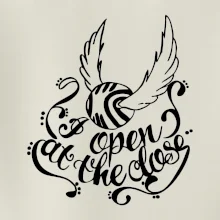 Harry - Zlatá strela