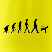 Evolúcia pes stavač Evolúcia pes stavač