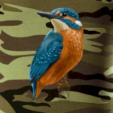 Ľadnáčik kreslený Ľadnáčik kreslený