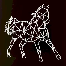 Geometria - kôň Geometria - kôň