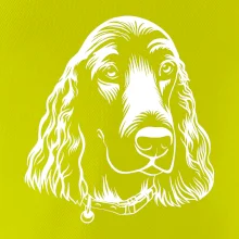 Kokeršpaniel - hlava kreslená