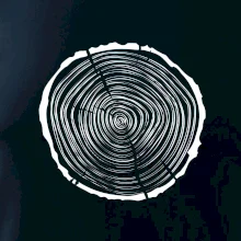 Letokruhy 30 bez veku