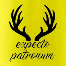 Harry - Expecto patronum Harry - Expecto patronum