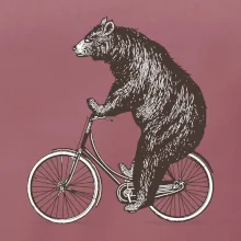 Medveď na bicykli