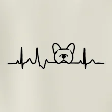 EKG Francúzsky buldoček hlava