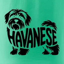 Havanese nápis v tele