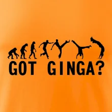 Capoeira - Got Ginga