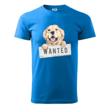 Zlatý retriever - šteniatko wanted