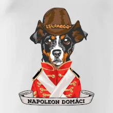 Napoleon domáci kríženec
