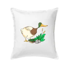 Geokáčer s keškou