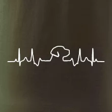 Labradorský retriever EKG Labradorský retriever EKG