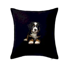 Bernský salašnícky pes šteňa čierna fotka