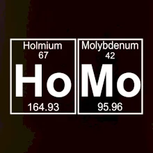 Homo - periodická tabuľka