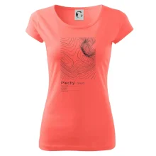 Plechý - vrstevnice v obdĺžniku