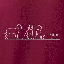 Lagotto romagnolo postavy linka