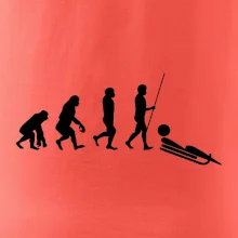 Evolúcia jazdy na bôbu