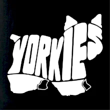 Yorkšírský teriér - Yorkie - Nápis v tele Yorkšírský teriér - Yorkie - Nápis v tele