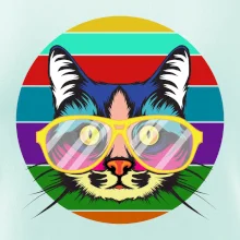 Mačka pri farebnom západe