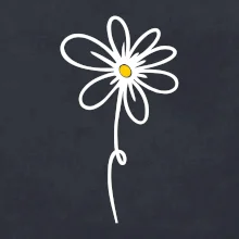 Kopretina - dole na výšku