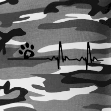 Veterinár EKG Veterinár EKG