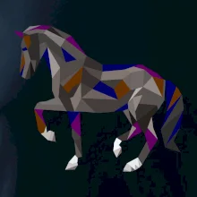 Kôň geometria farebný