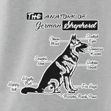 Nemecký ovčiak - Anatómia Nemecký ovčiak - Anatómia