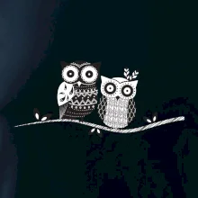 Dve sovy abstraktné