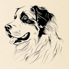 Bernský salašnícky pes čierna kresba