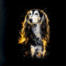 Obrázok poltón perzský chrt