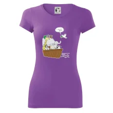 Pravda s Noemovou archou