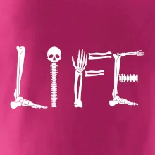 Radiology Life Radiology Life