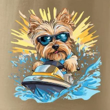 Yorkšírsky teriér na vodnom skútri