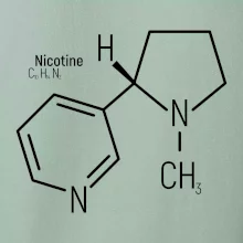 Molekulárna štruktúra Nikotín
