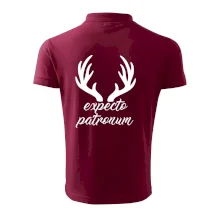 Harry - Expecto patronum