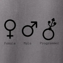 Female male programmer