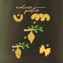 Evoluce pasta