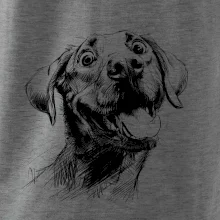 Čiernobiela karikatúra Labrador svetlý