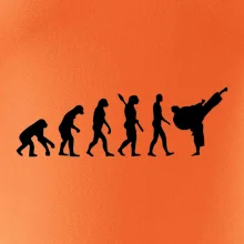 Karate Evolúcia - kop Karate Evolúcia - kop