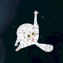 Mačka čistotná (studio-arte.cz)