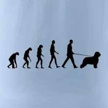 Evolúcia pes Briard