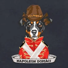 Napoleon domáci kríženec