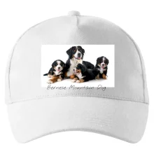 Bernese mountain dog celá rodina