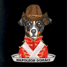 Napoleon domáci kríženec