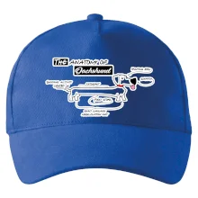 Jazvečík - Anatómia