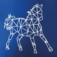 Geometria - kôň Geometria - kôň